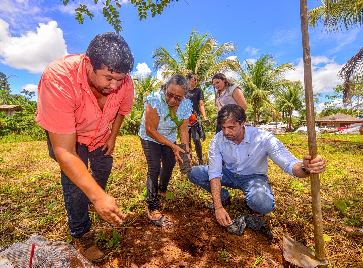 Governo retoma Programa Amapá Cacau 